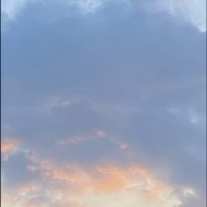 Meet your Posher, Harleigh